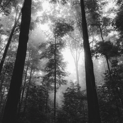 Lumen Ad Mortem : Demo 2019